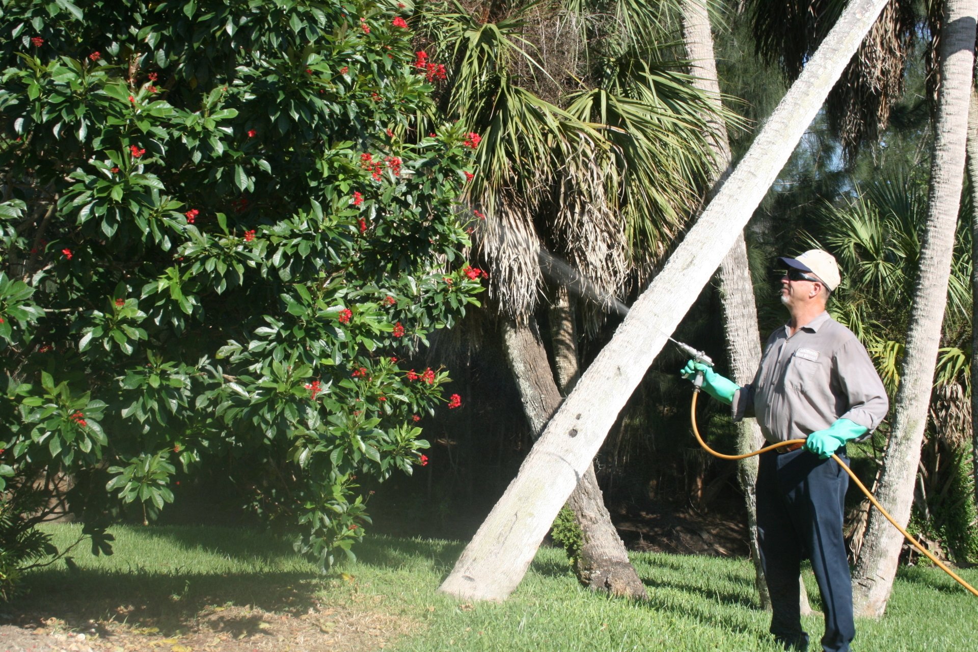 Exterminator Ellenton, FL McKinzie Pest Control
