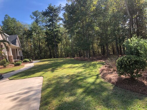 Augusta GA Lawn Care &amp; Landscaping Company, Professional