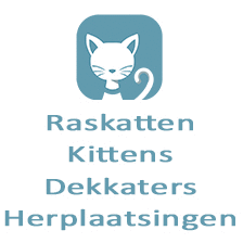 kittentekoop.be