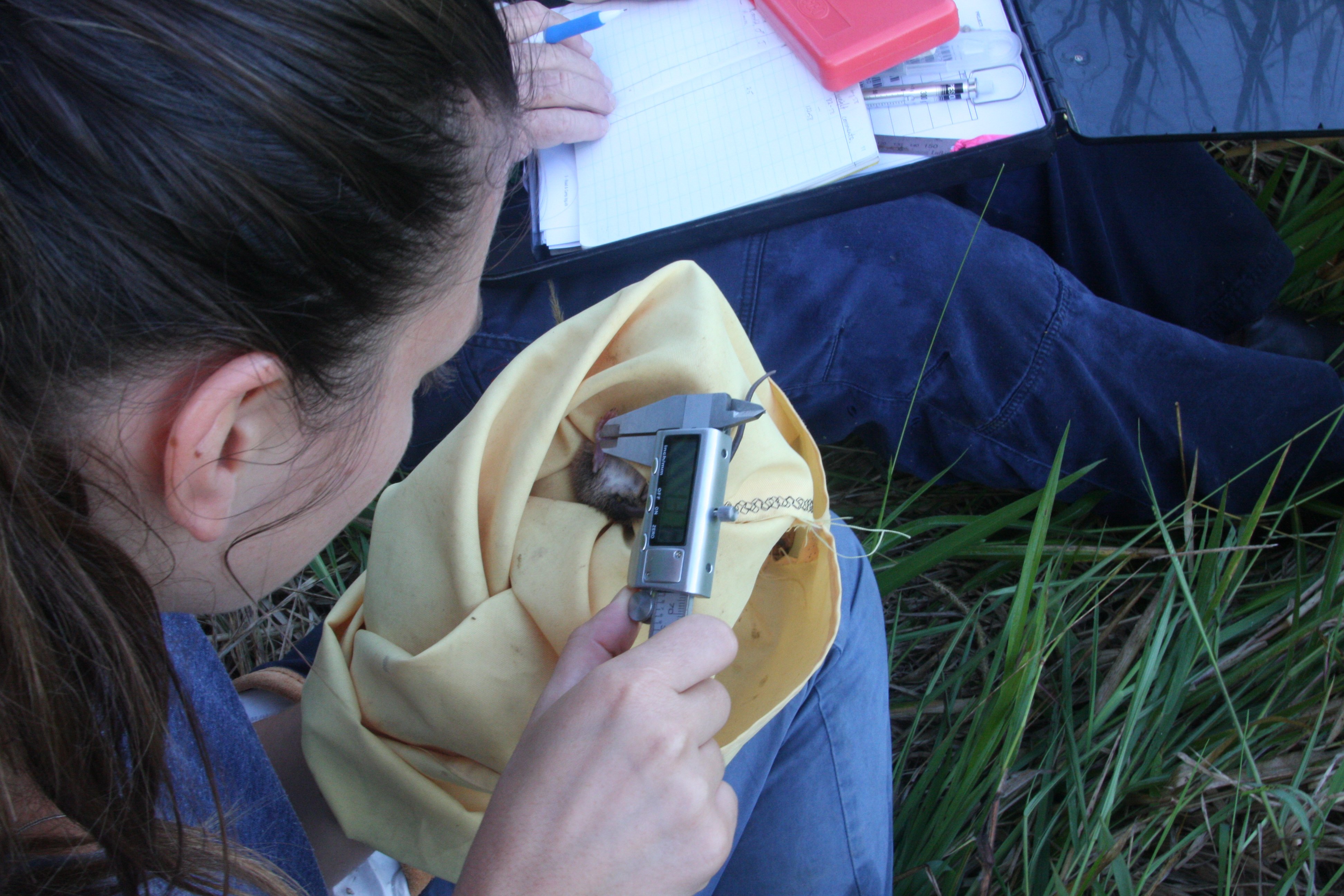 Individual sitting beside a waterfall 