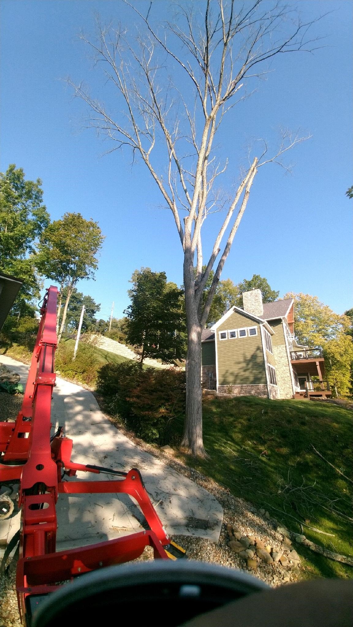 Tree Service Gallery Canton, OH Bowman's Tree Service