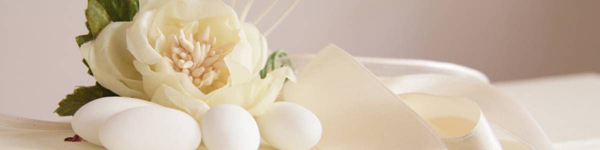 bombonire-white-rose