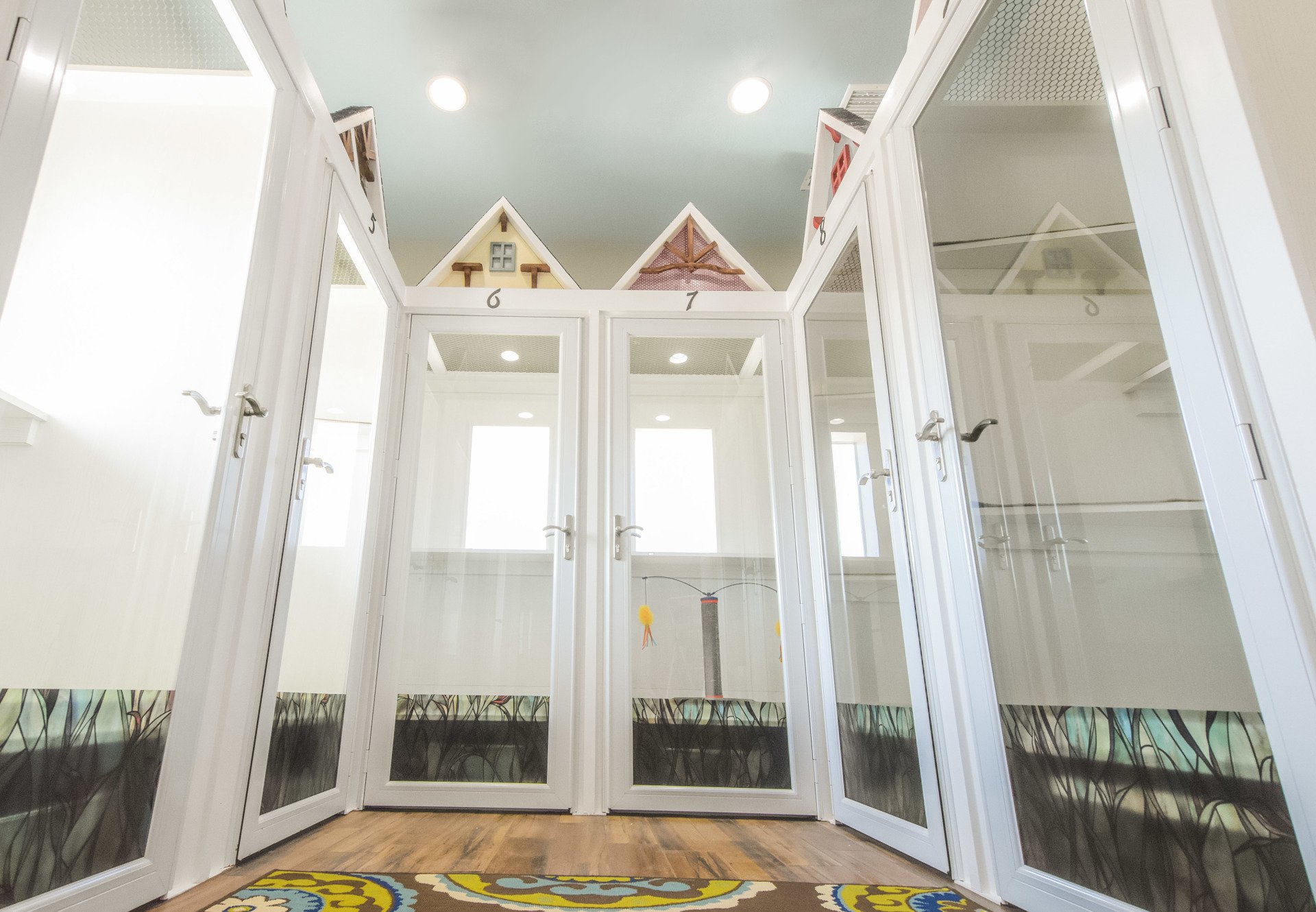 Cat Boarding Bryan & College Station, TX America's Country Store