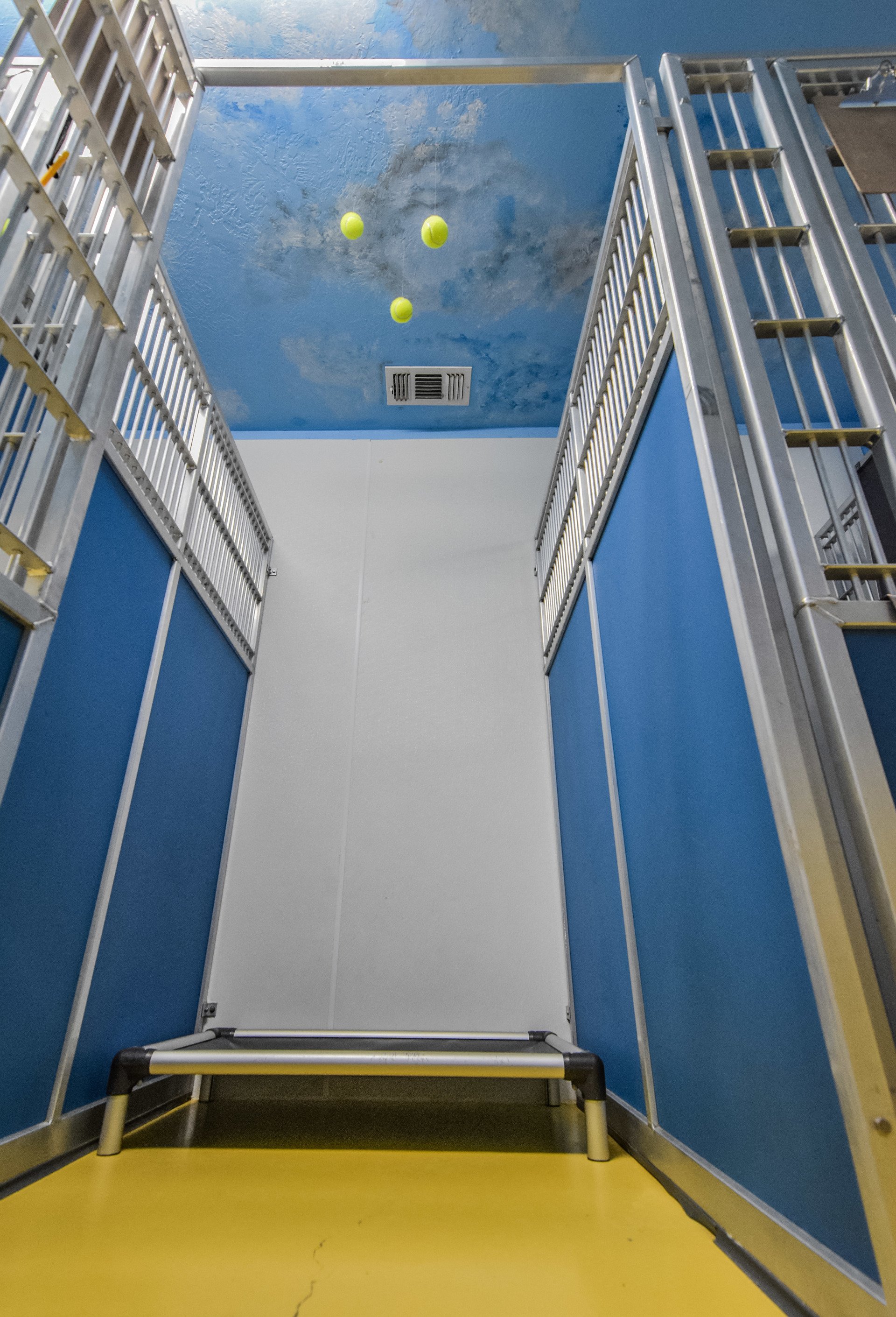 Dog Boarding Bryan & College Station, TX America's Country Store