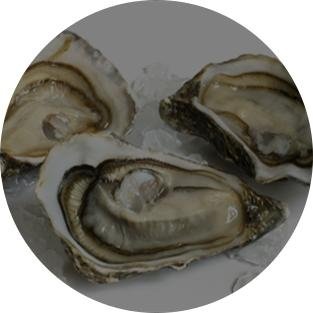 Ristorante Di Pesce Milano A Riccione Bistrot