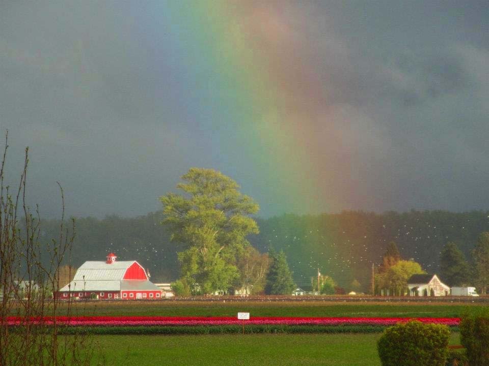 Work with RE/MAX Territory NW in Washington