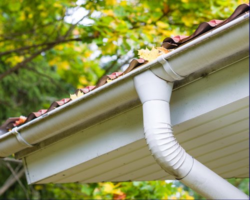 gutter filled with leaves
