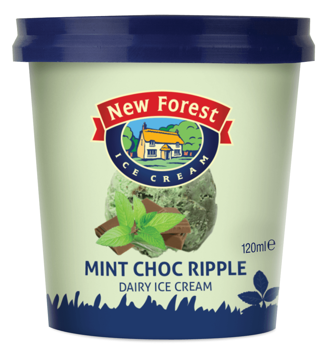 Delicious one litre and individual ice cream tubs in Hampshire