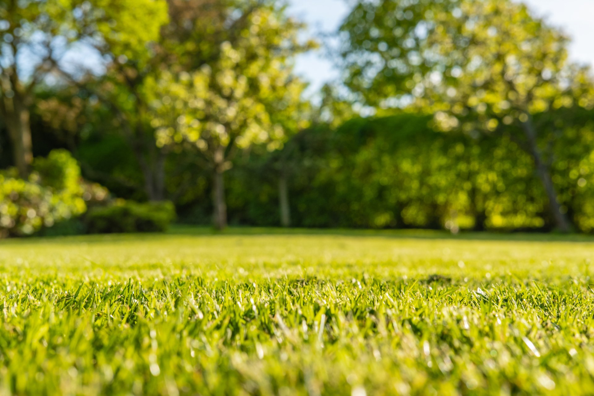 Residential Landscaping Twin Falls ID Sawtooth Spraying Service