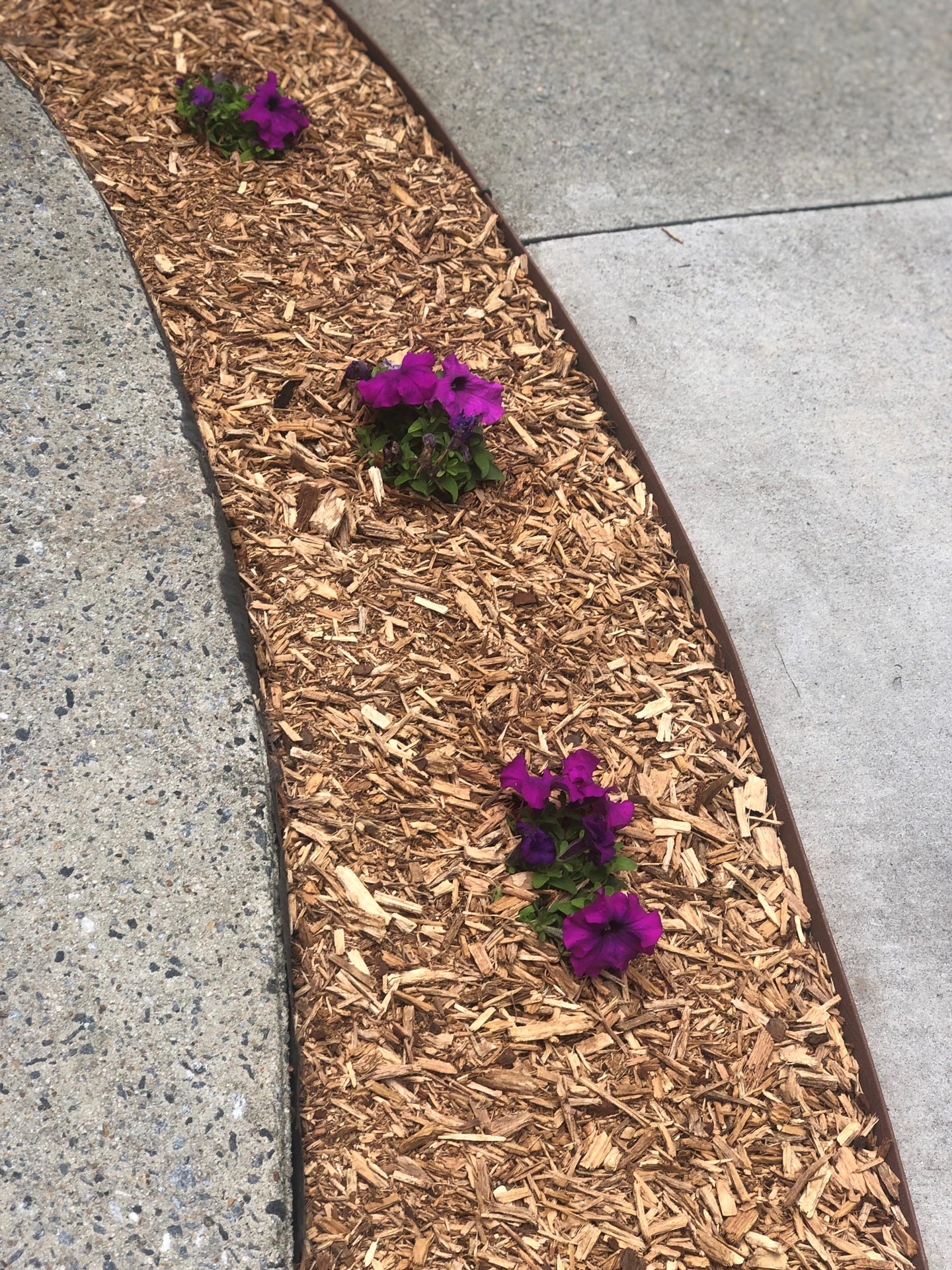 Pine Straw Installation Mableton, GA Pine Straw Depot
