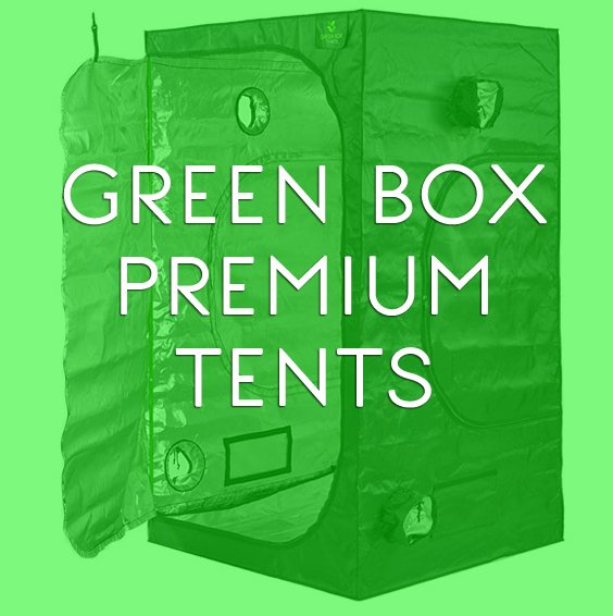 Home [www.greenboxtents.co.uk]