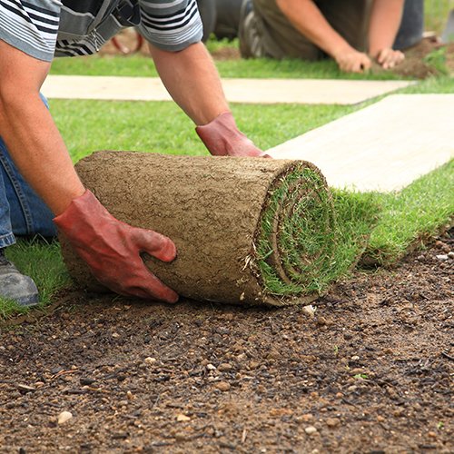 Lawn Care Crestview, FL Terry's Landscape, Inc