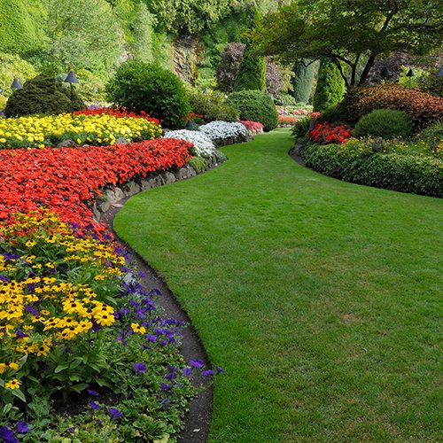 Lawn Care Crestview, FL Terry's Landscape, Inc