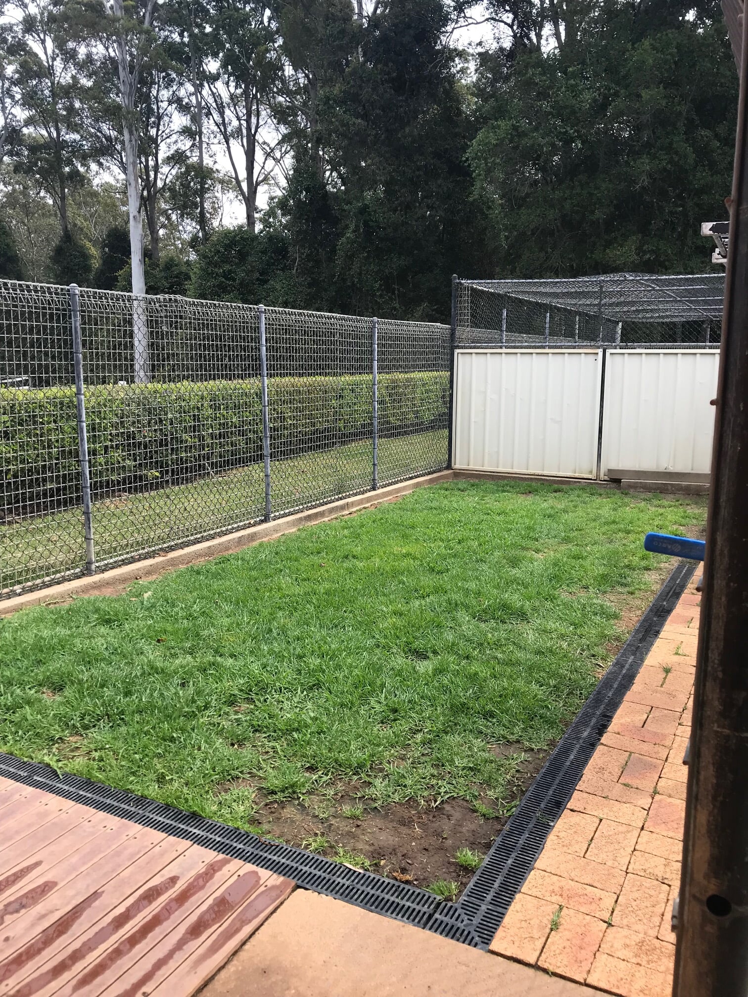 Tarraray Pet Retreat Coffs Harbour Image Gallery Pet Boarding