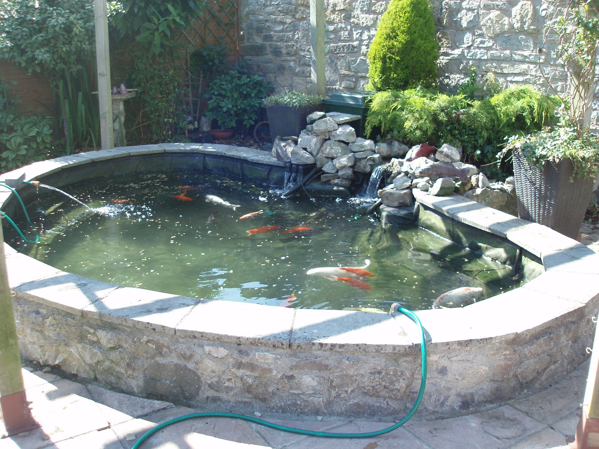 Pond Accessories Bridgwater Perfect Ponds Plus