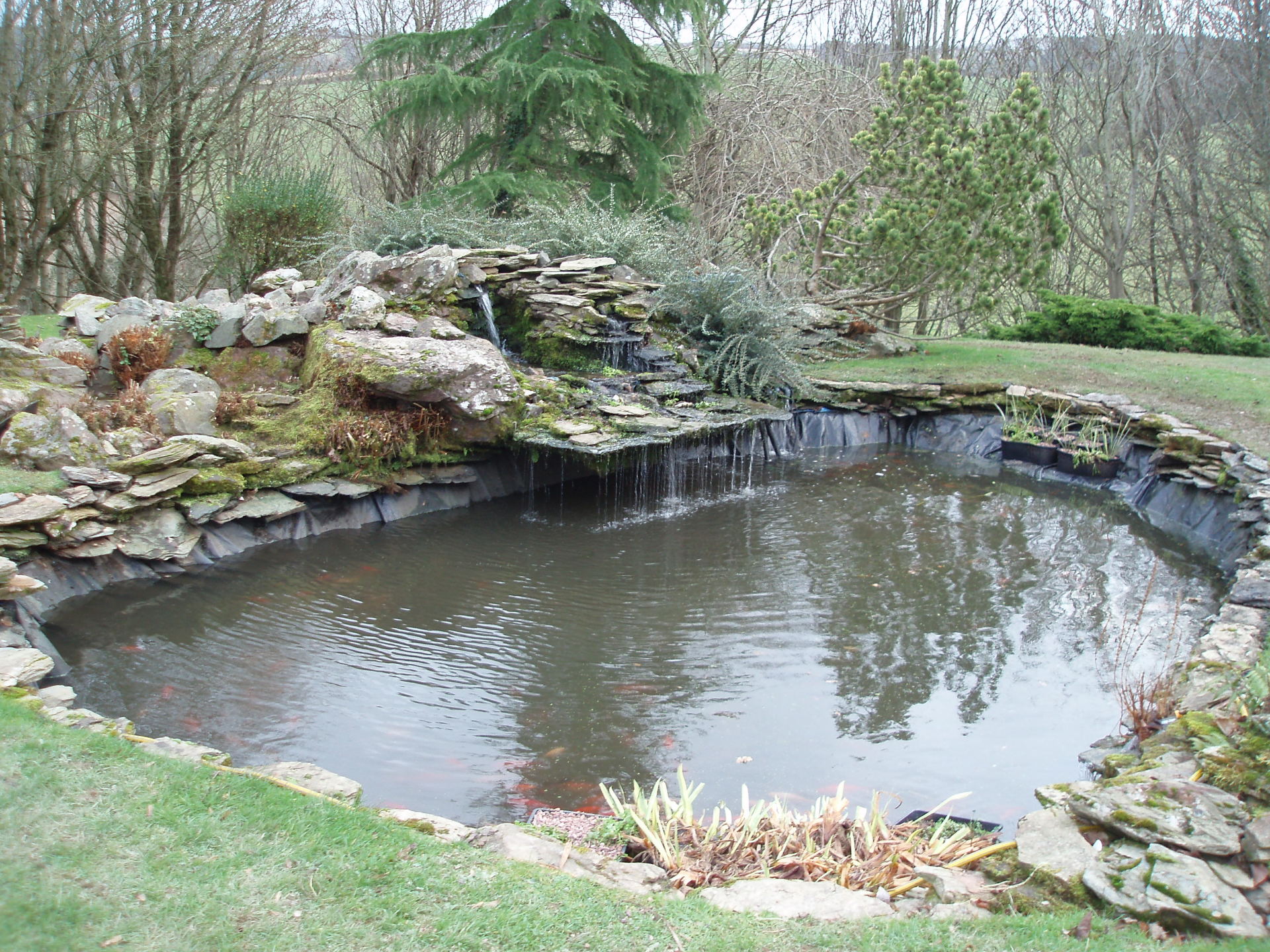 Pond Accessories Bridgwater Perfect Ponds Plus