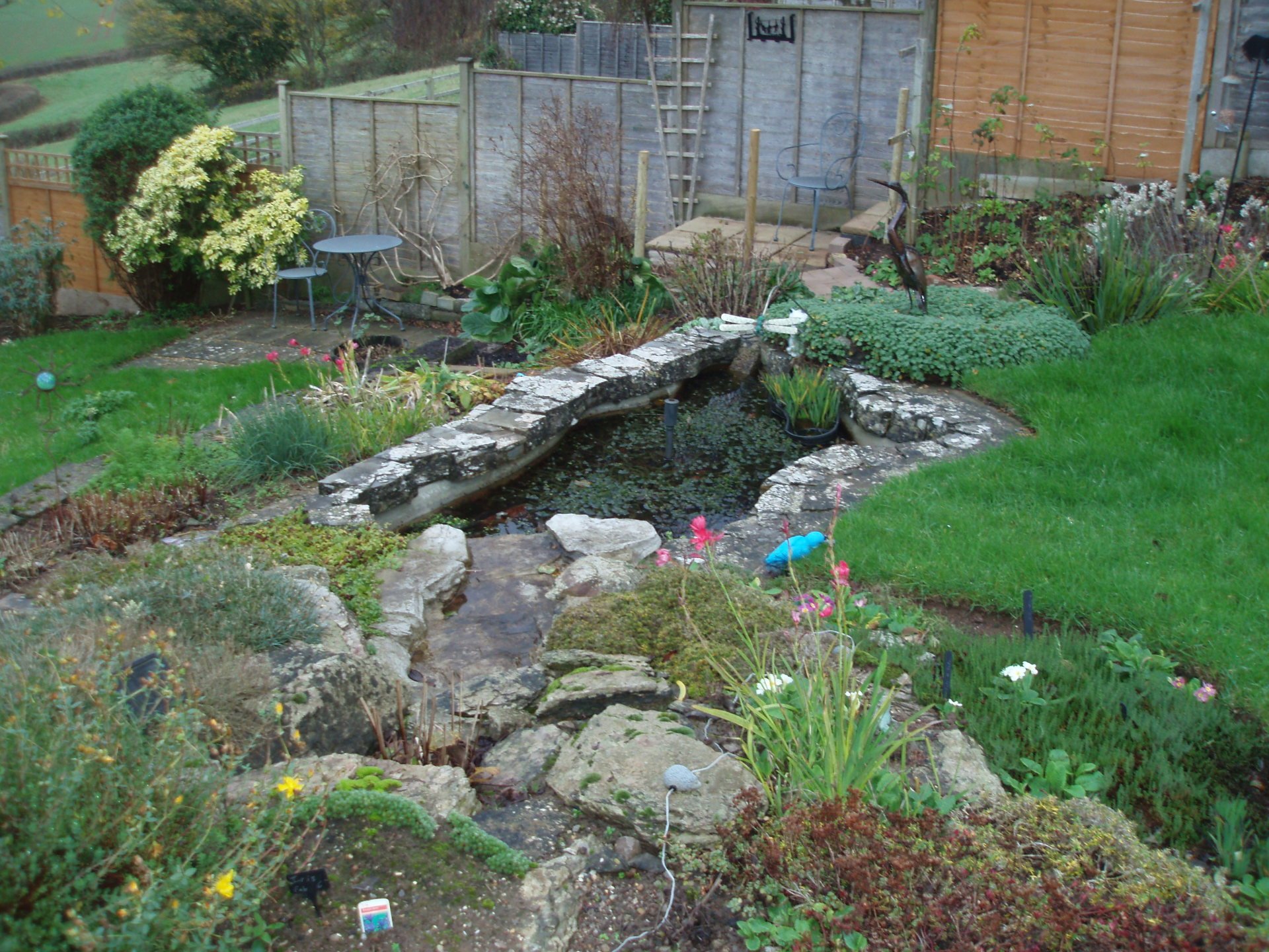 Pond Accessories Bridgwater Perfect Ponds Plus