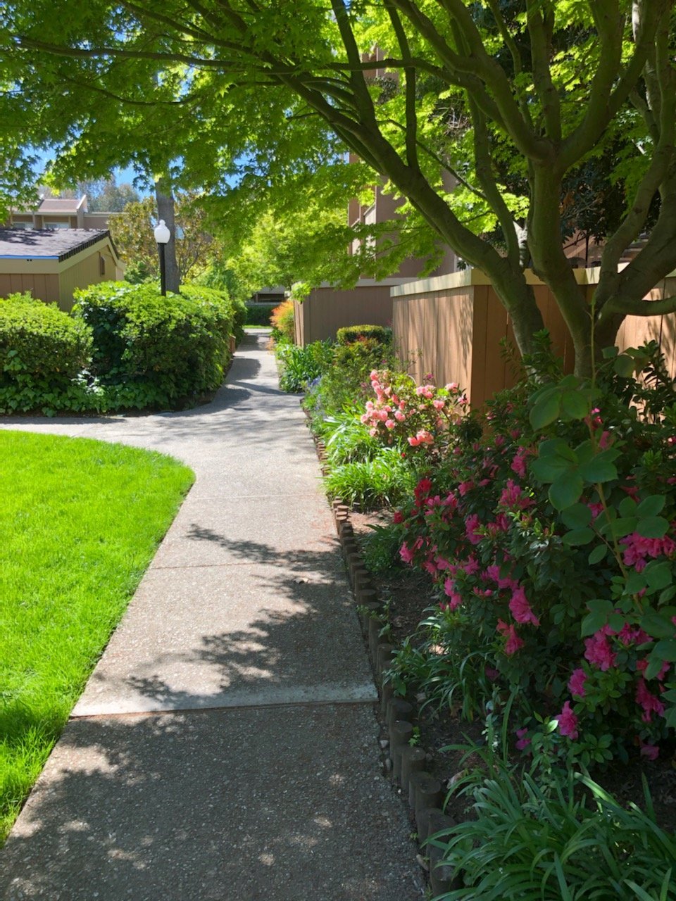 Spring Meadow Apartments