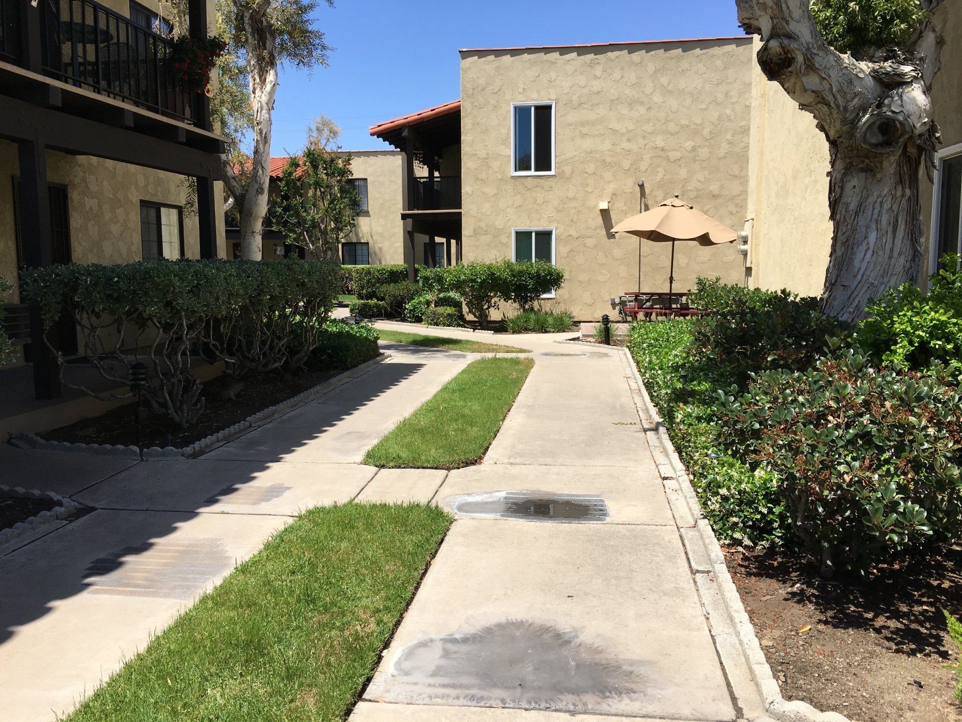 Rancho Yorba Apartments Photos
