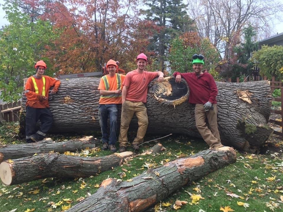 Tree Services in Cornwall Glengarry Tree Service