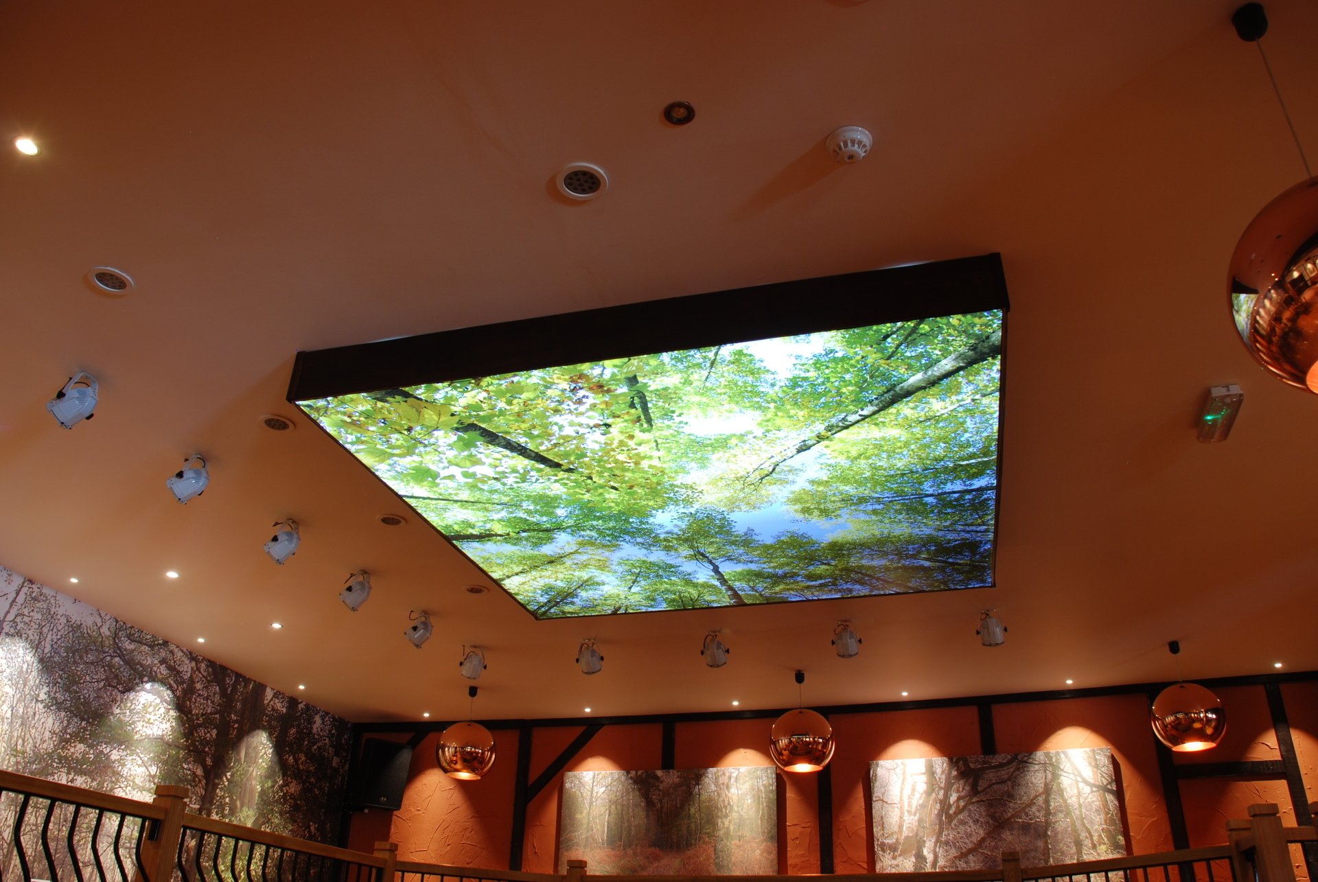 light Boxes