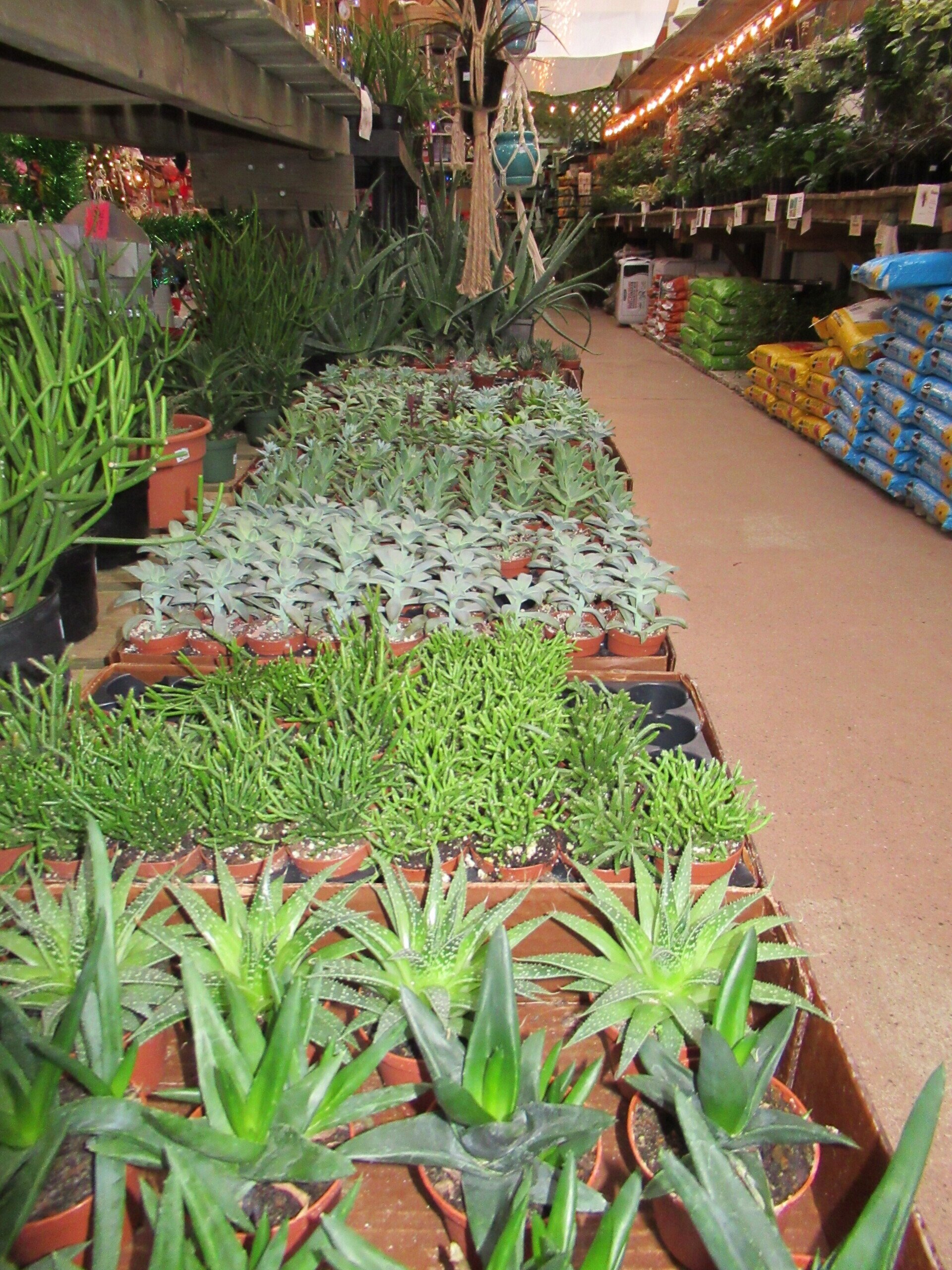 Duluth, Mn | Gordy&Amp;#39;S Gift And Garden