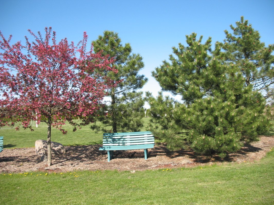 Community Community Park The Village of Botkins