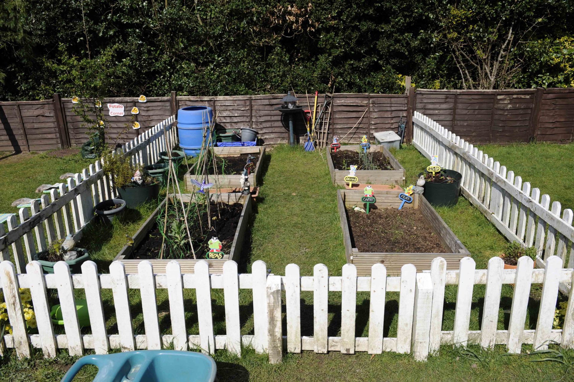 Interested in childcare apprenticeship at Toad Hall Nursery?