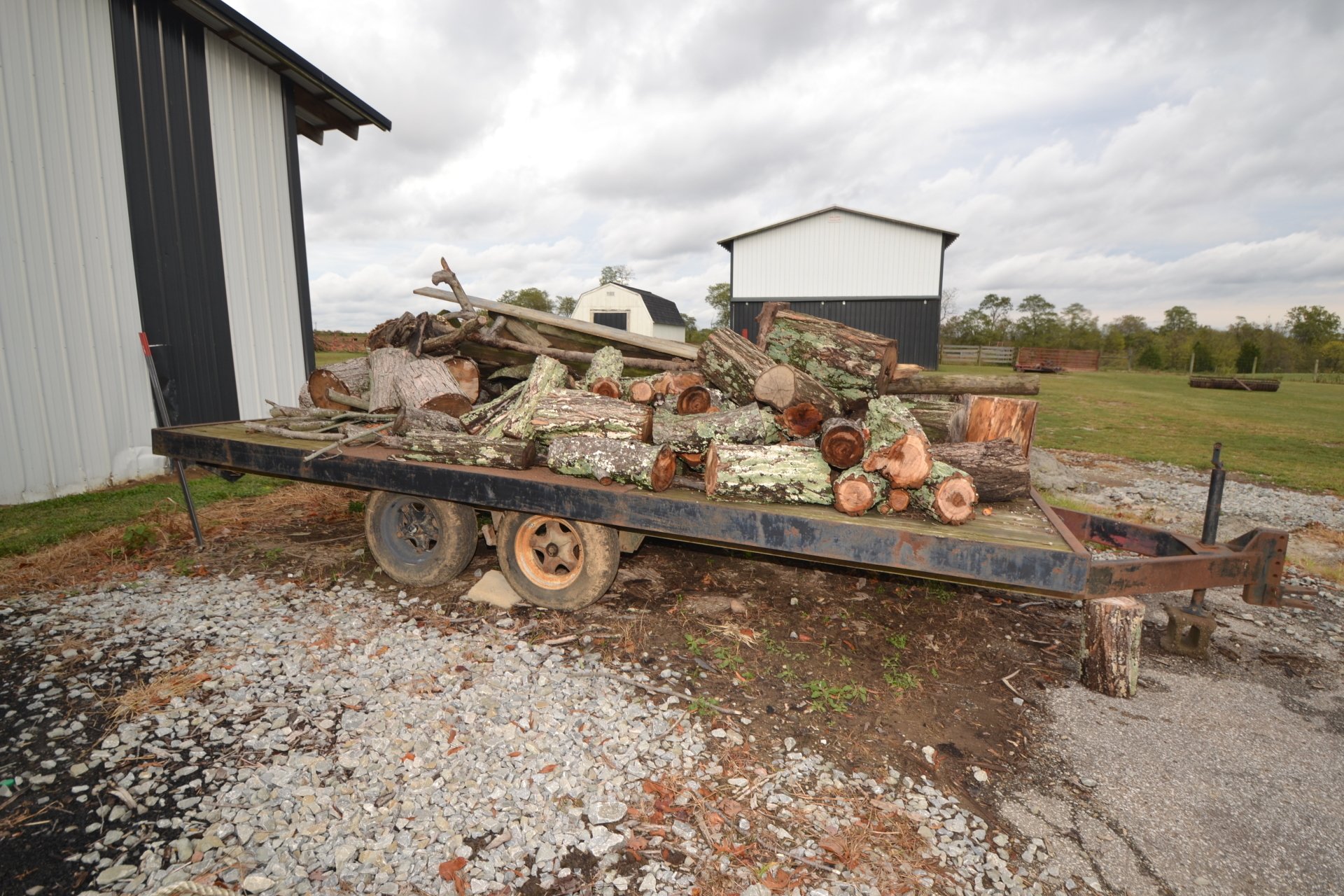 Campbell Auctioneers