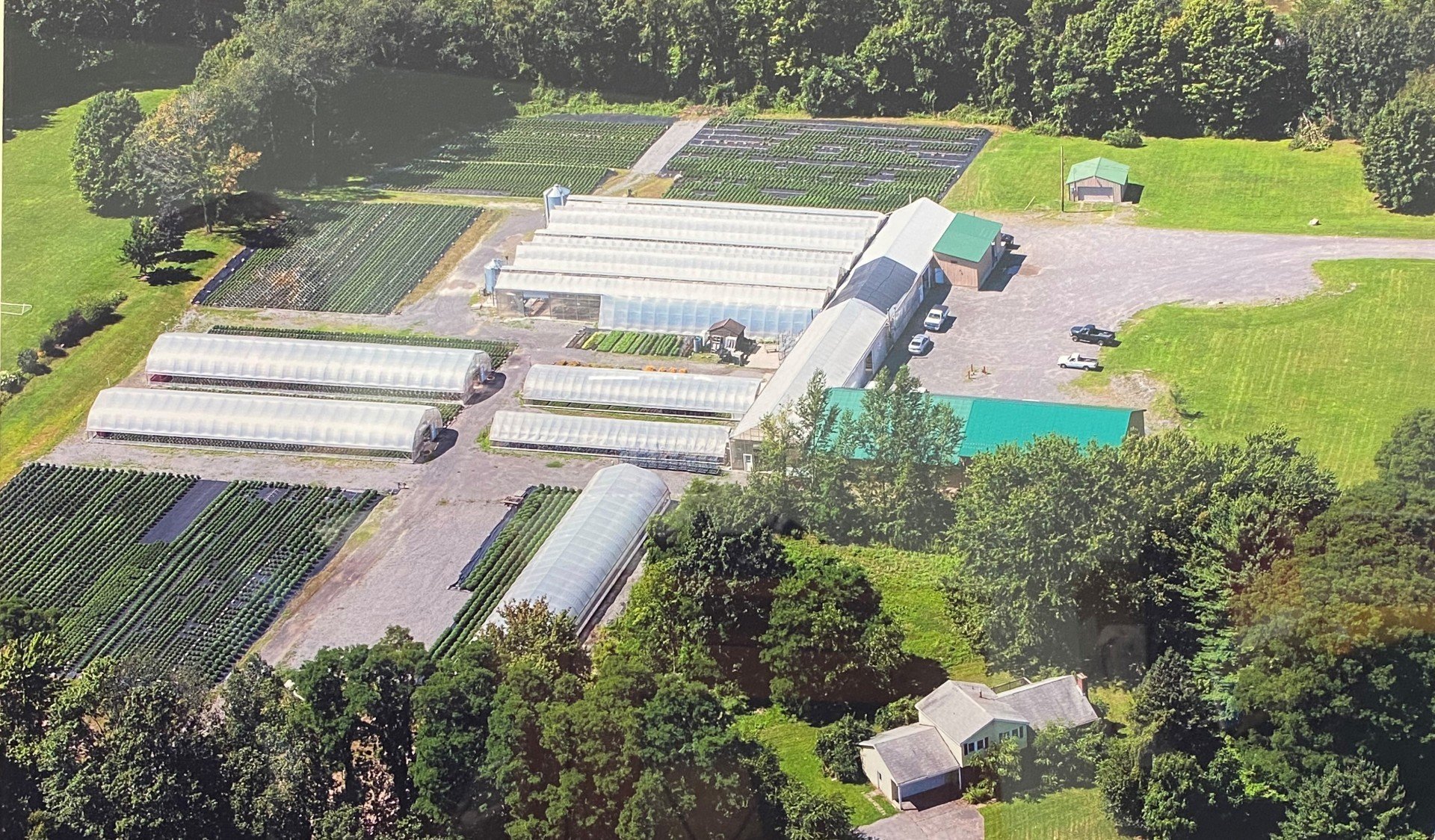 CNY Greenhouse Baldwinsville NY, Ponto's Greenhouses Baldwinsville NY