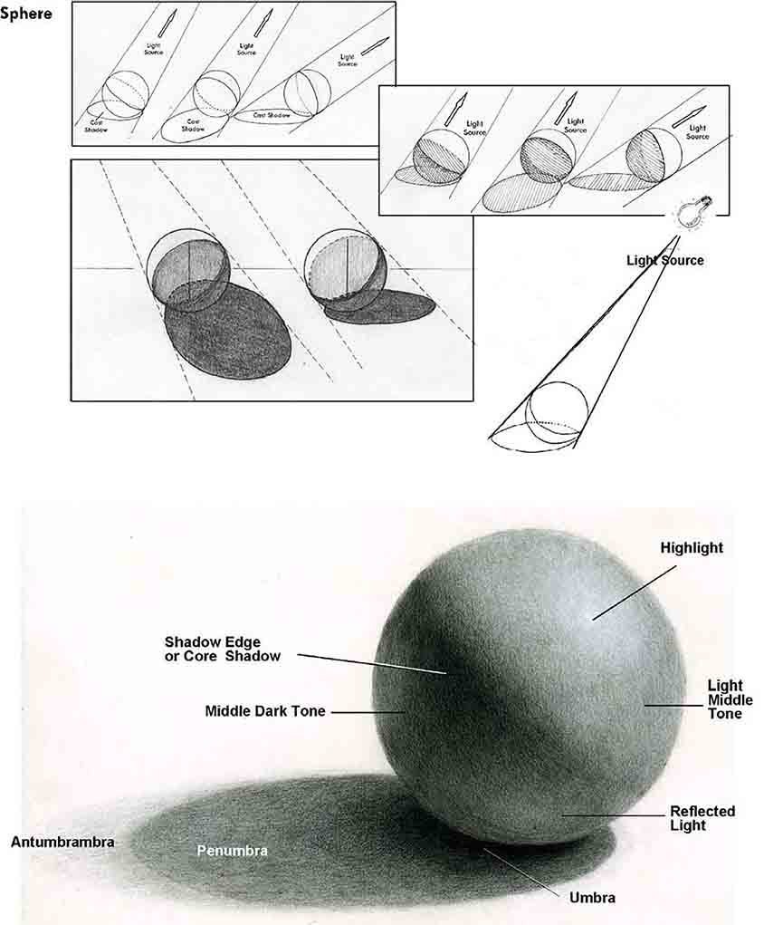 4 key exercises when learning to draw
