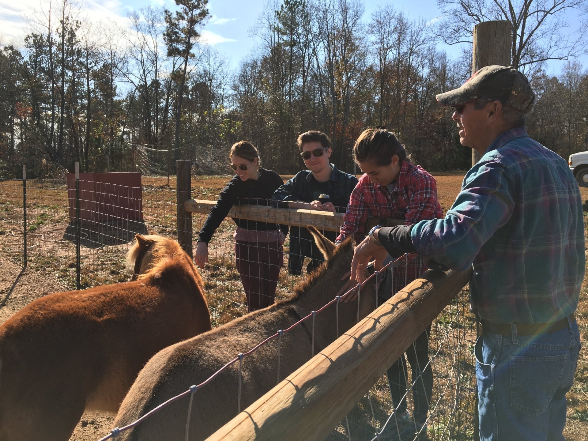 Family Farm Days - Foxfire Woods and Farm