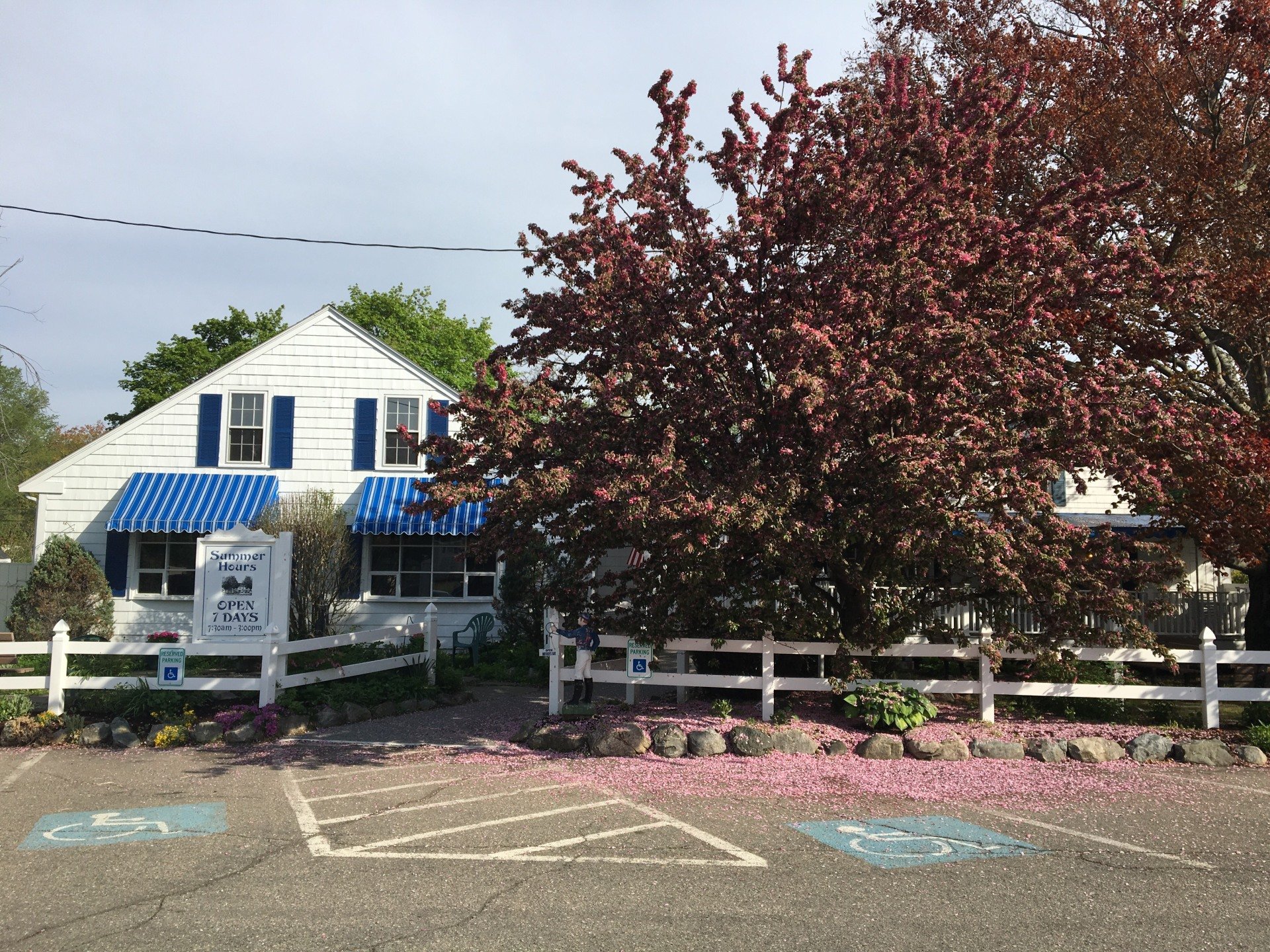 Stephanie's Village Pancake House, Rowley, MA