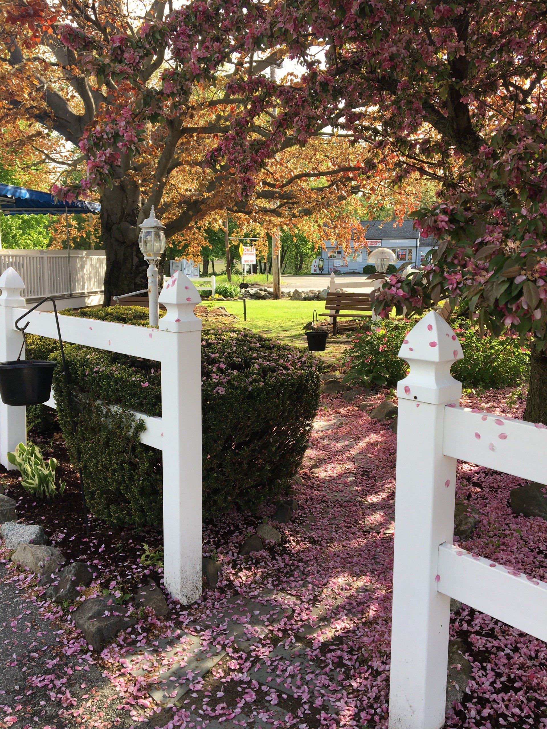 Stephanie's Village Pancake House, Rowley, MA