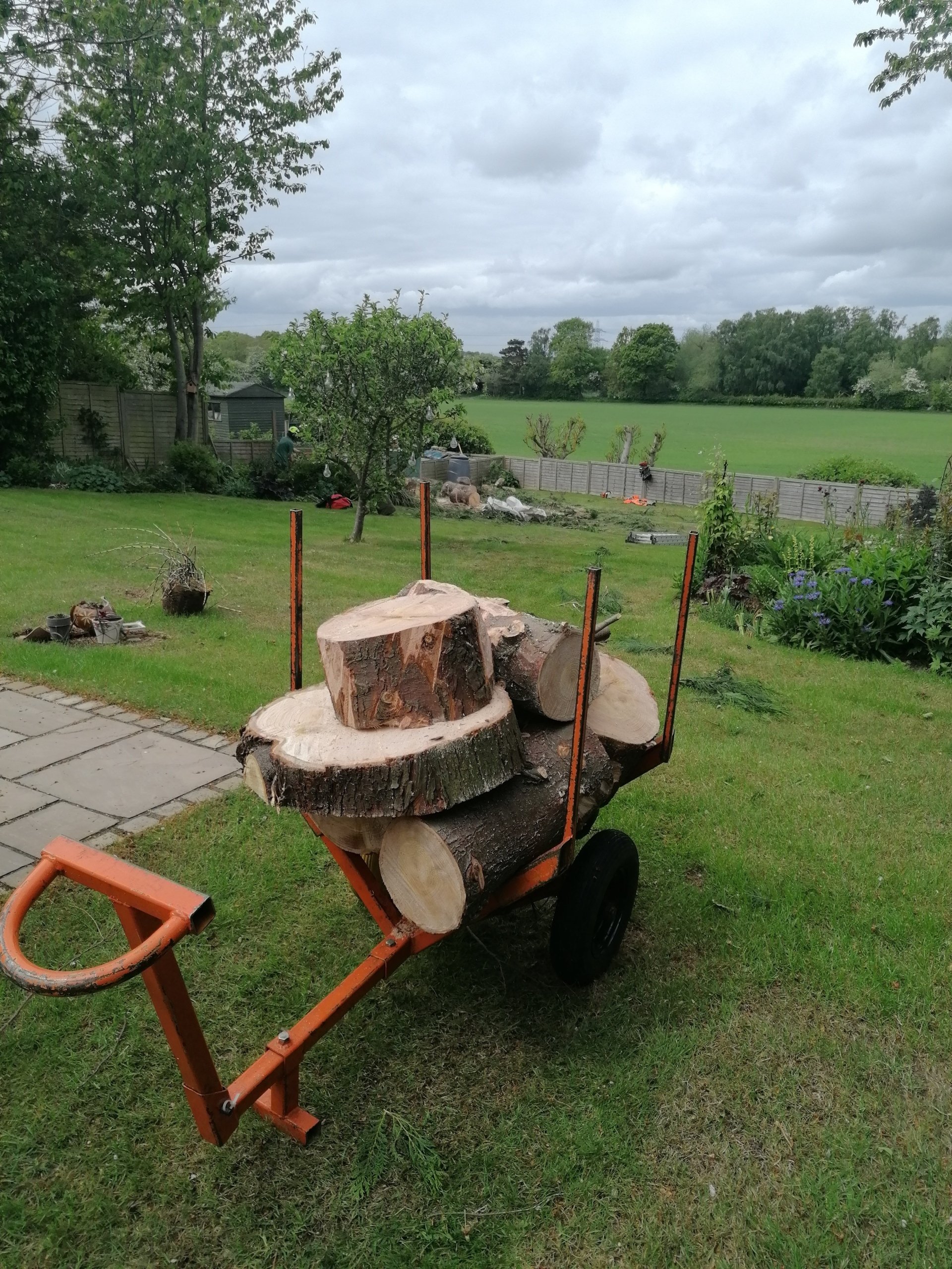 Stump grinding | Stephen Johnson Tree Services | Yarm