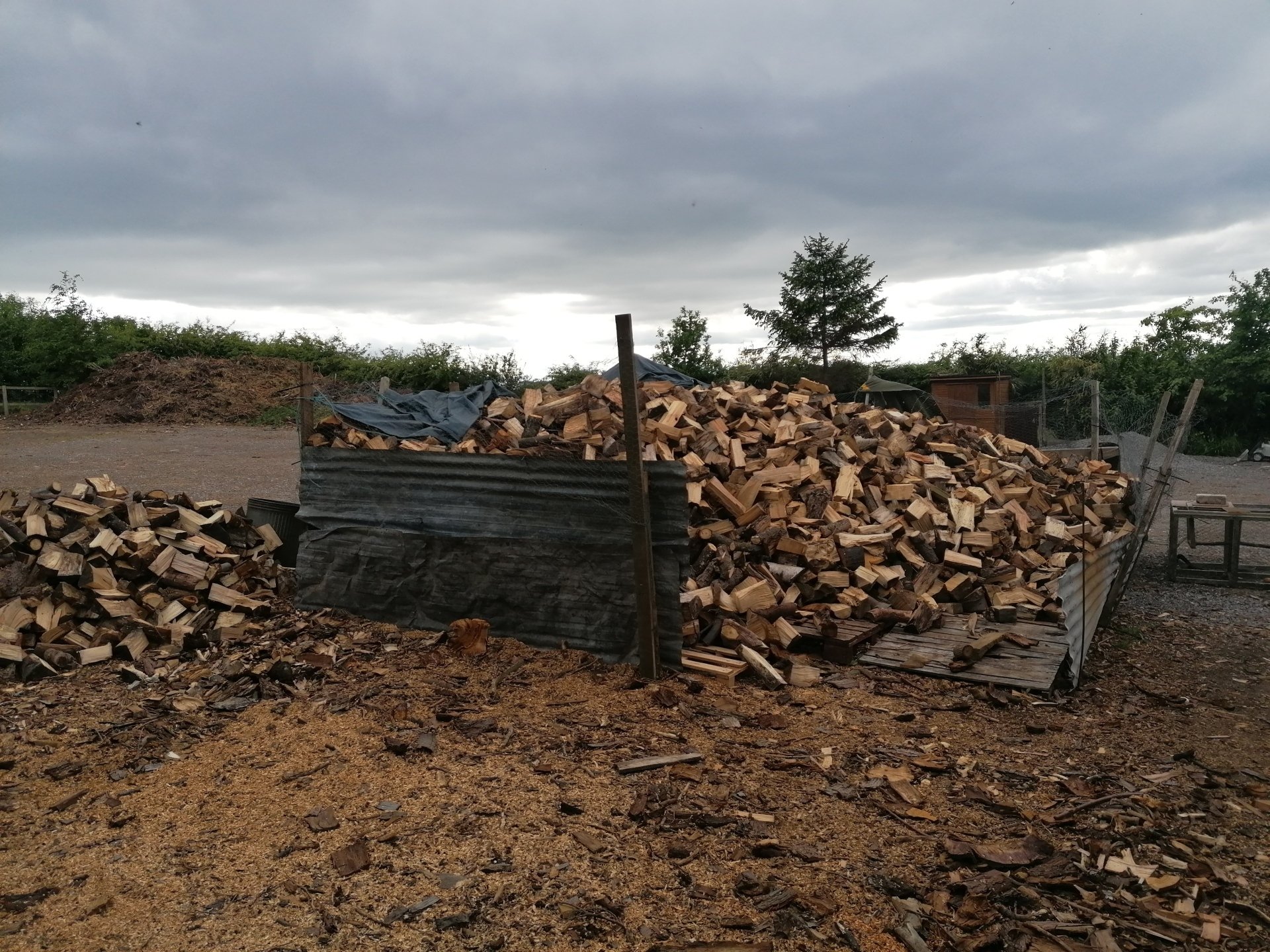 Stump grinding | Stephen Johnson Tree Services | Yarm