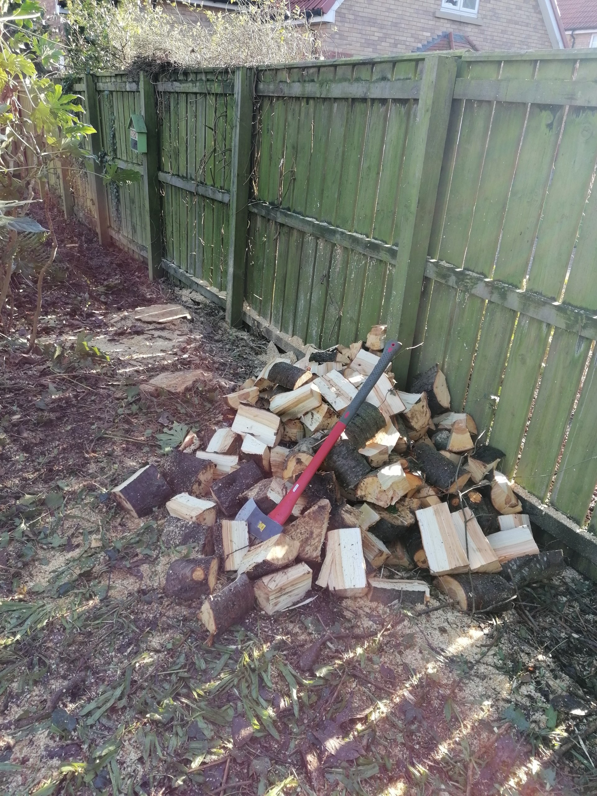 Stump grinding | Stephen Johnson Tree Services | Yarm