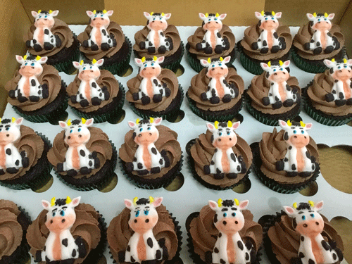 Farm themed cupcakes