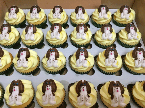 Farm themed cupcakes