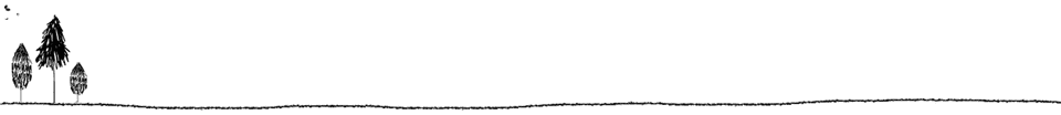Divisore