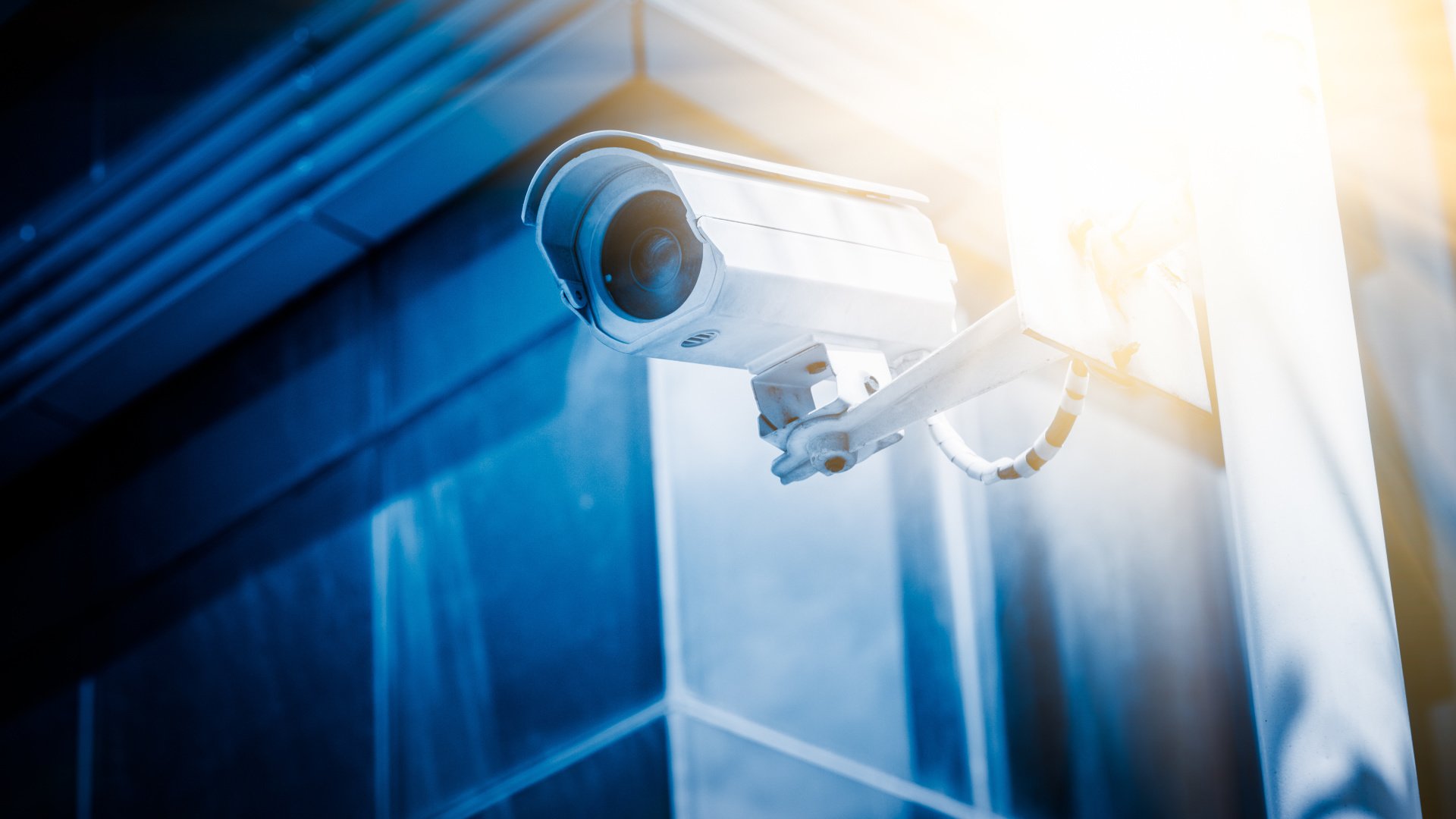 What Type of Commercial Security System Do You Need for Your Business?