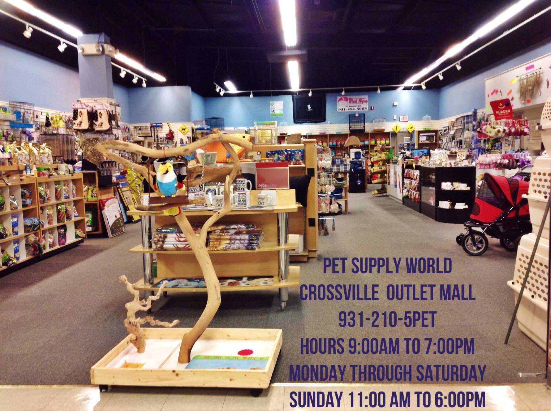 pet supply outlet near me