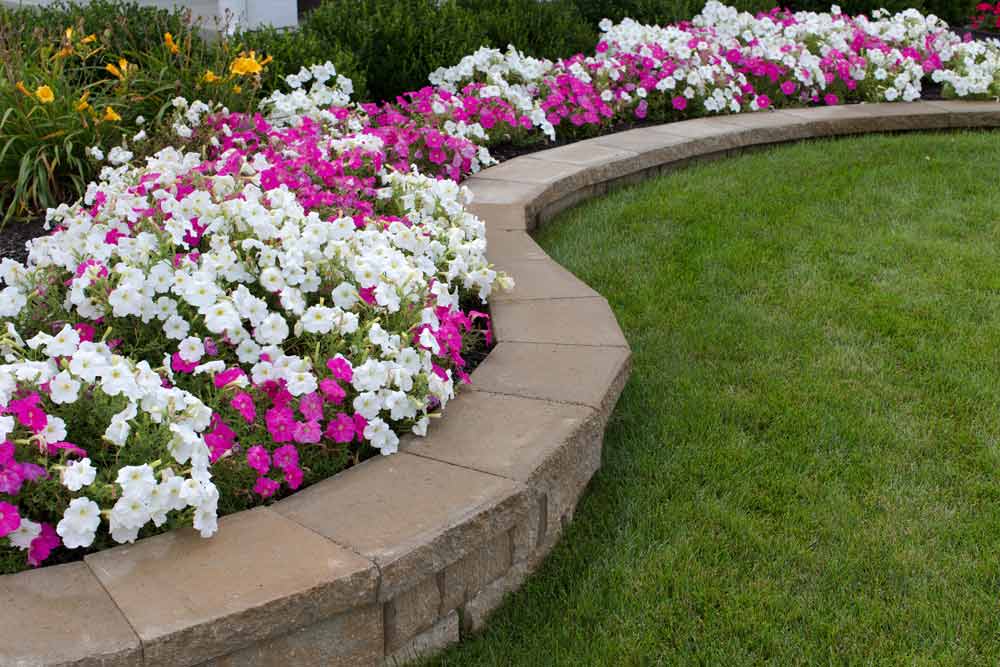 flowers with retaining wall