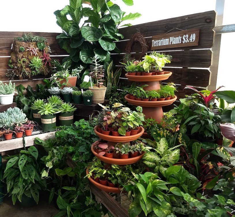 Price Nursery Landscaping Inc High Point Nc Home Price Nursery Landscaping Serving High Point And The Triad Area