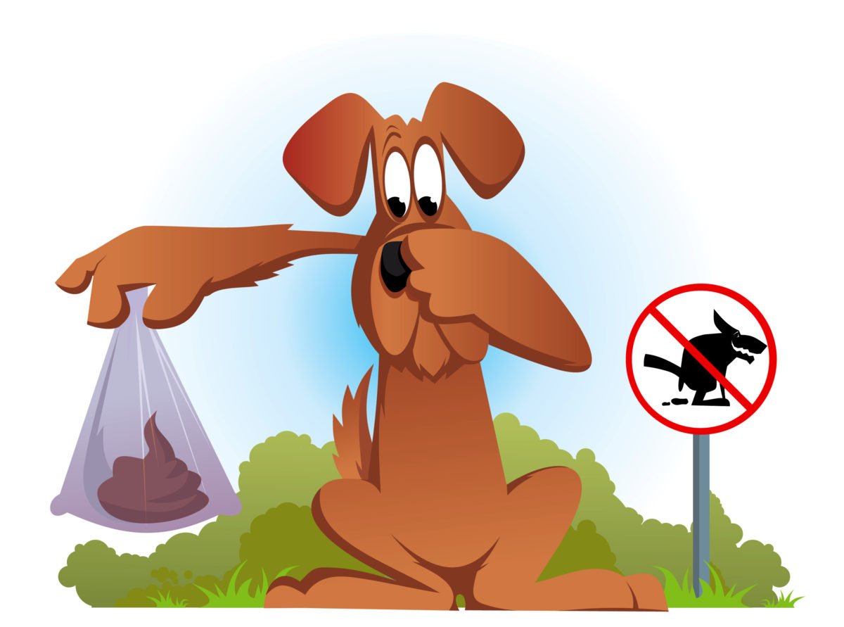 Pooper Scooper Service in Birmingham, AL Bham Poop Scoop