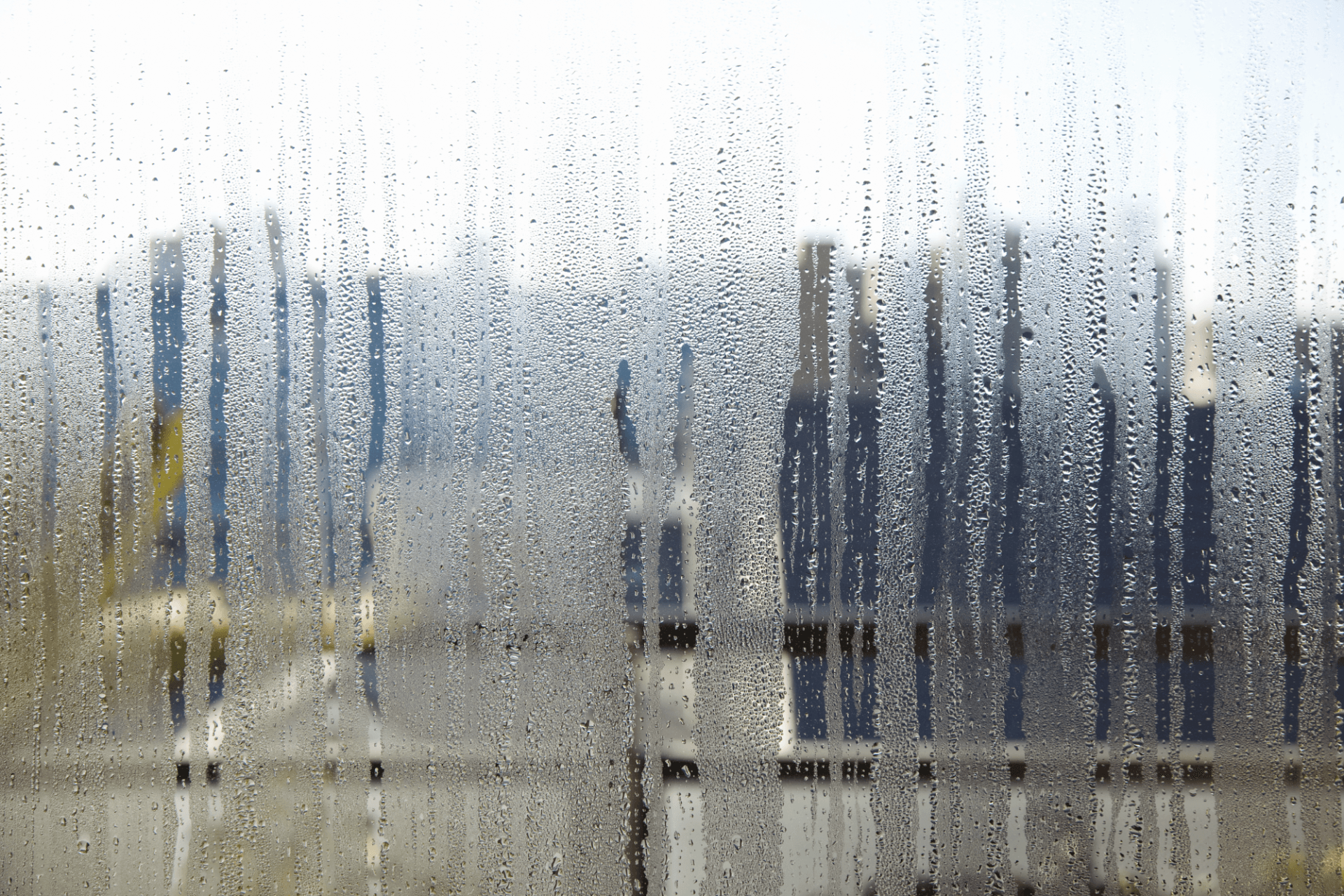 How To Prevent Mold Growth In Your Home This Spring