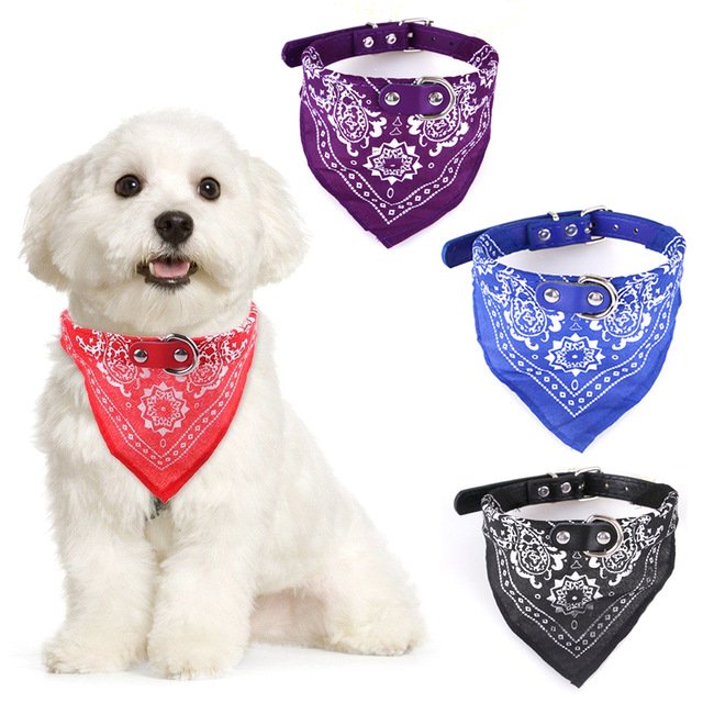 Cairns Designer Dog Accessories Poochies Parlour