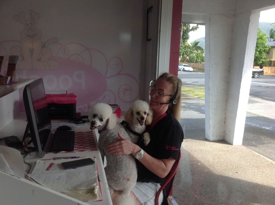 Cairns Dog Grooming Salon Photo Gallery