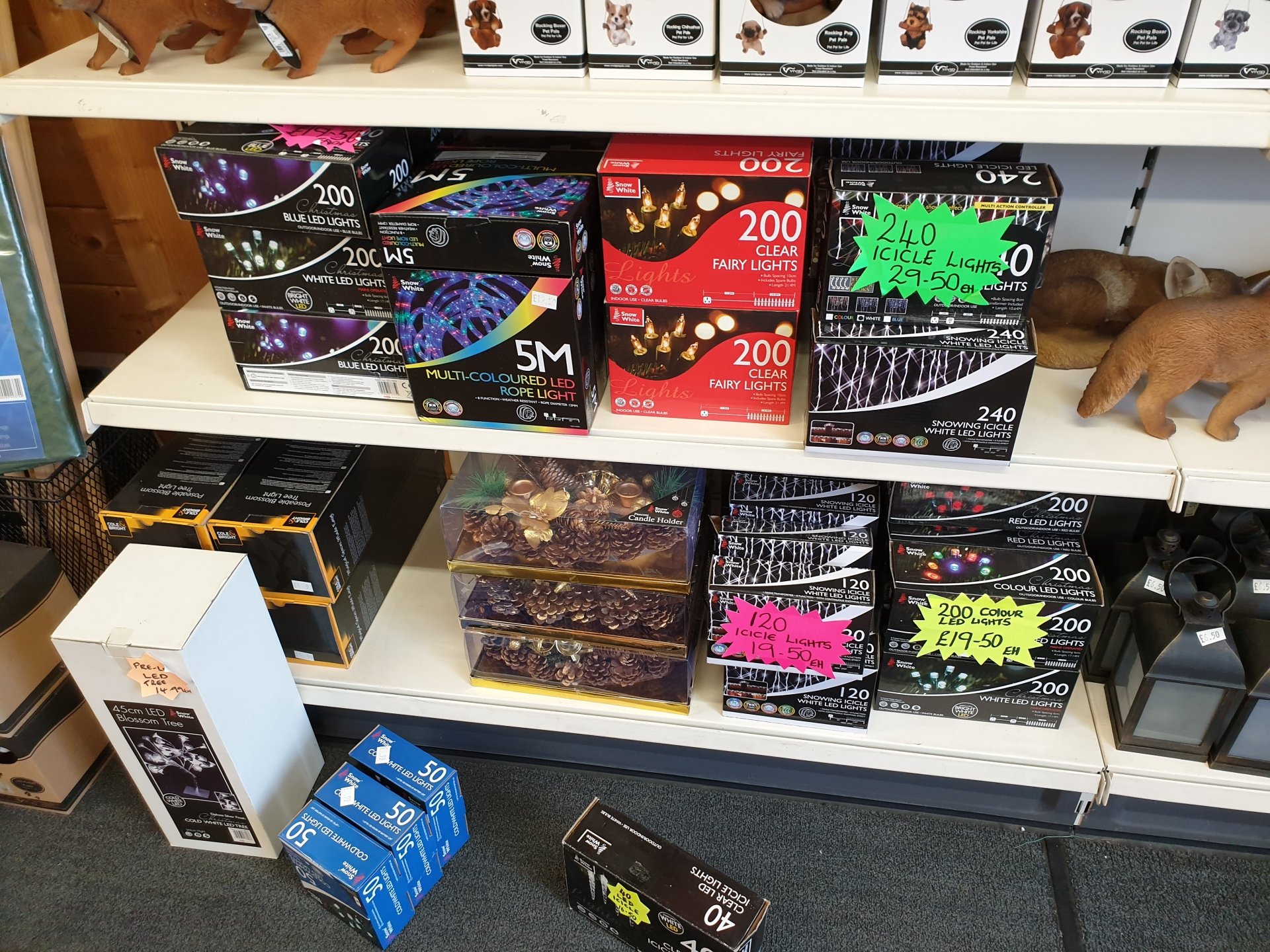 Plants nursery, The Elms Nursery & Garden Centre