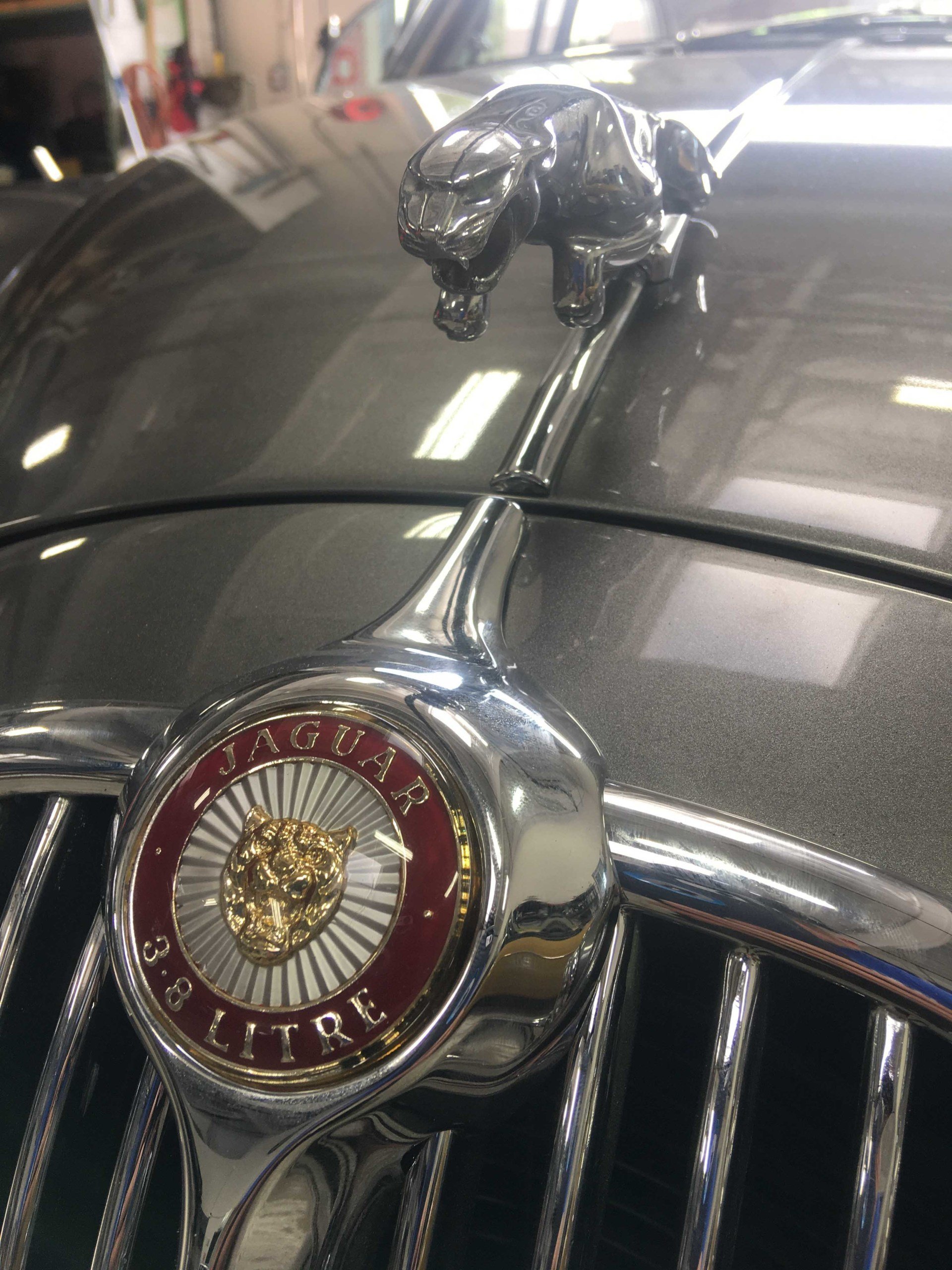 View Our Gallery Cotati, CA British European Motors